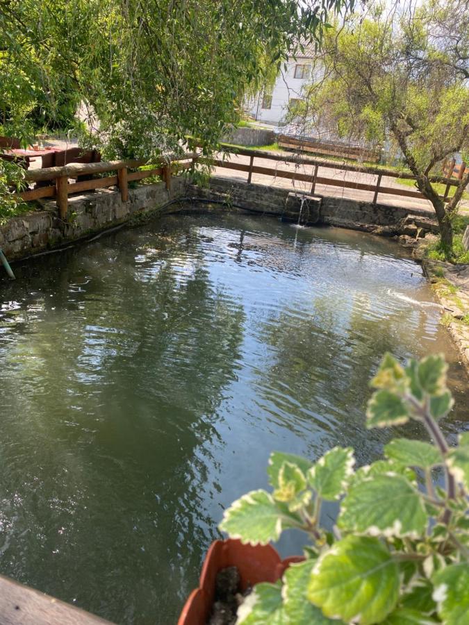 Pensiune Pastravarie La Pintea Haiducu Deseşti المظهر الخارجي الصورة